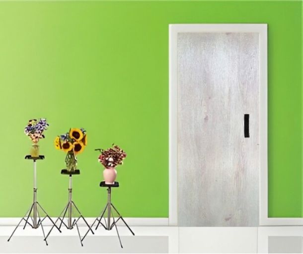 FRP door n