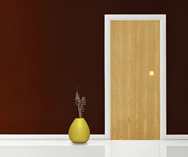 flush doors